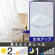 お好みサイズレースカーテン ルーボ