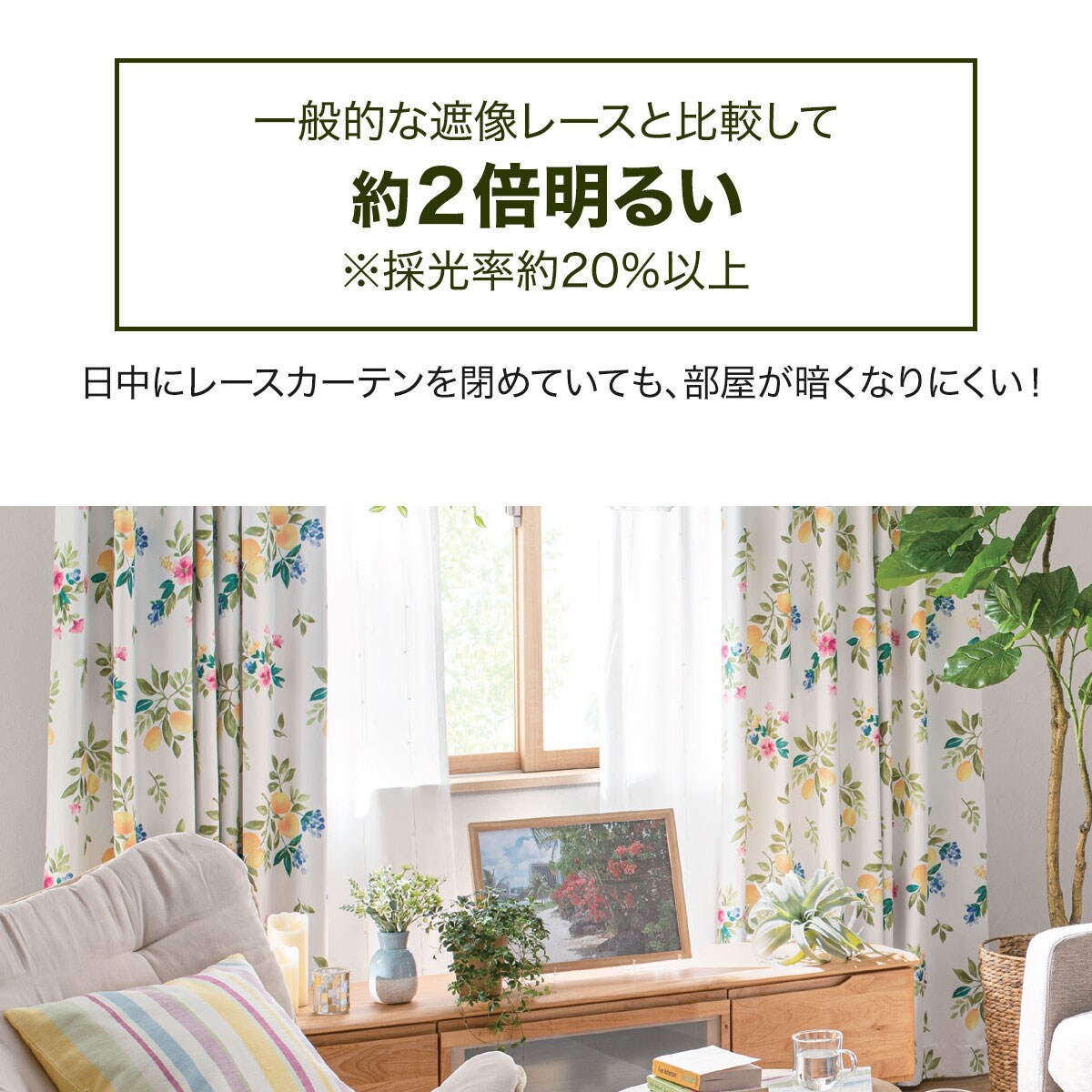 ニトリ遮光1級カーテン&レースパレット2 レース エコナチュレプレーン