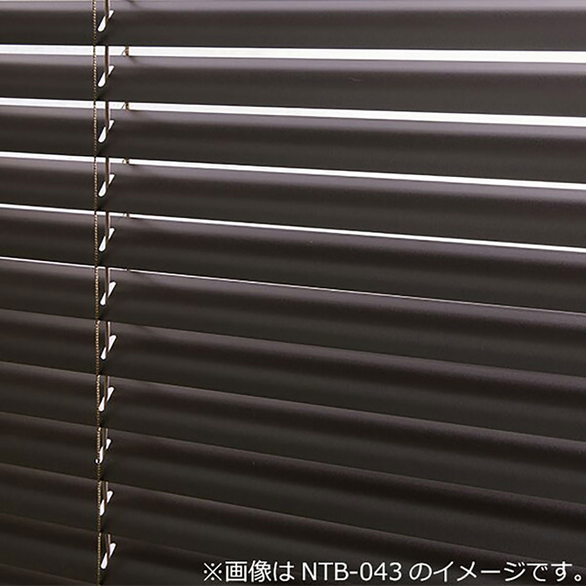 NTブラインド25コード(NTB-109/幅30-100cm/丈11-100cm) | ニトリ