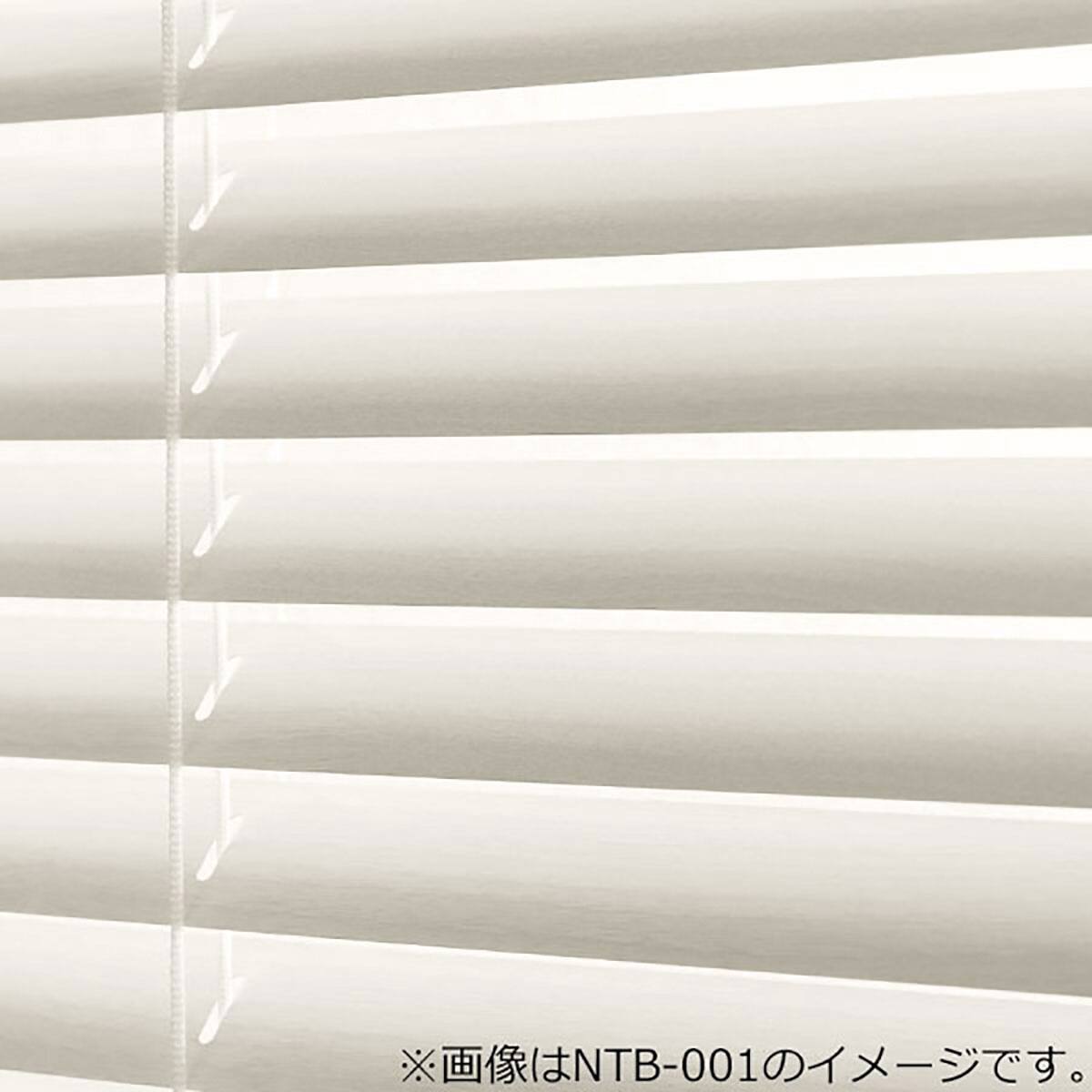 NTブラインド25ワンポール(NTB-004/幅28-80cm/丈11-90cm) | ニトリ