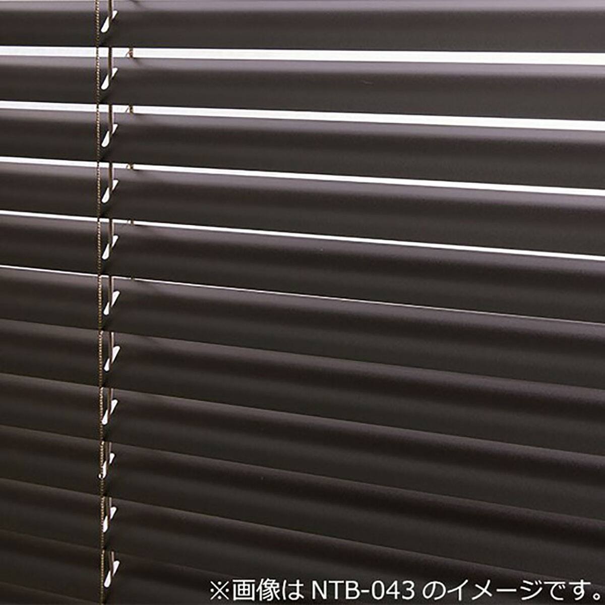 NTブラインド25ワンポール(NTB-102/幅28-80cm/丈11-90cm) | ニトリ