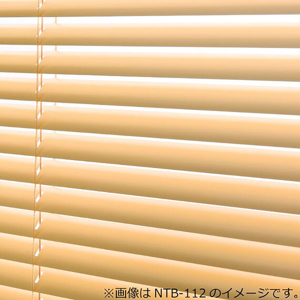 NTブラインド25ワンポール(NTB-648/幅28-80cm/丈11-90cm) | ニトリ