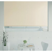 オーダーロールスクリーン ピオネ(PN-02/幅51-80cm/丈101-140cm)