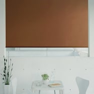 オーダーロールスクリーン ピオネ(PN-03)