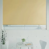 オーダーロールスクリーン ピオネ(PN-06)