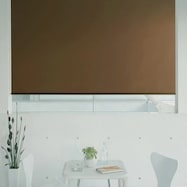 オーダーロールスクリーン ピオネ(PN-07)