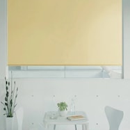 オーダーロールスクリーン ピオネ(PN-14)