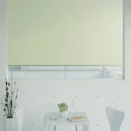 オーダーロールスクリーン ピオネ(PN-17)