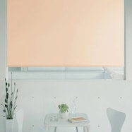 オーダーロールスクリーン ピオネ(PN-19)