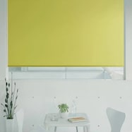 オーダーロールスクリーン ピオネ(PN-21)