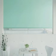 オーダーロールスクリーン ピオネ(PN-22)