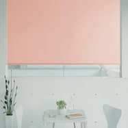 オーダーロールスクリーン ピオネ(PN-23)