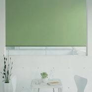 オーダーロールスクリーン ピオネ(PN-29)