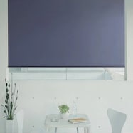 オーダーロールスクリーン ピオネ(PN-30)