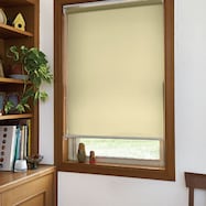 オーダーロールスクリーン Nプレーン(ANP-04)