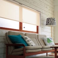 オーダーロールスクリーン ピオネエコ(PNE-02)