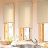 オーダーロールスクリーン エンス(ZED-06)