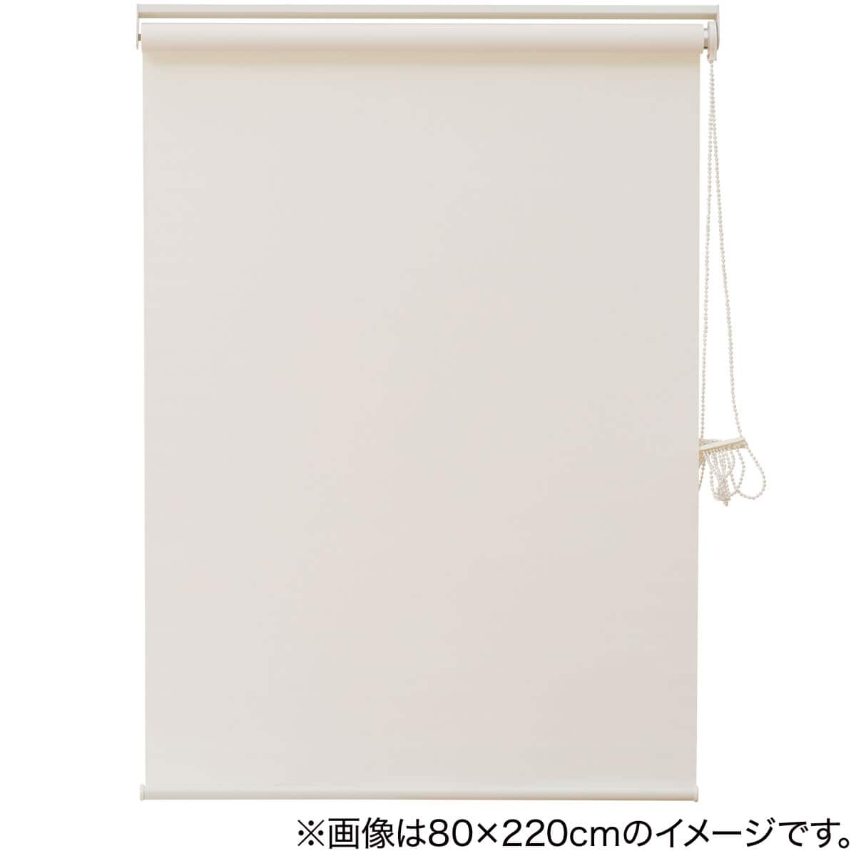 消臭加工ロールスクリーン(DE1 IV 130X220) | ニトリネット【公式