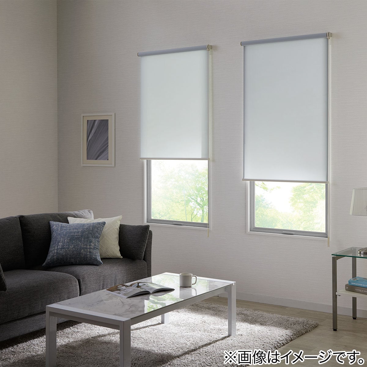 消臭加工ロールスクリーン(DE1 BL 80X220)通販 ニトリネット【公式】 家具・インテリア通販