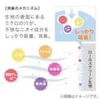 消臭加工ロールスクリーン(DE1 GR 165X220) 3枚目画像