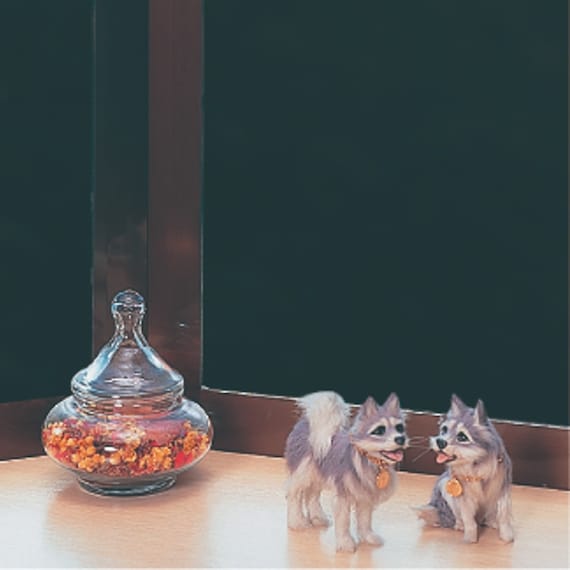 スライダー画像