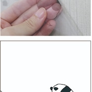 リノベウォールシート/メッシュ WAL-04 パンダ