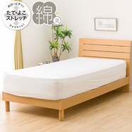 たて・よこストレッチ Nフィット コットン
