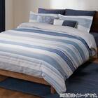 掛け布団カバー ダブル(PT36 ボーダーガラBL D) 3枚目画像