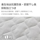 ピローパッド(コットンベロア LGY S2412) 5枚目画像