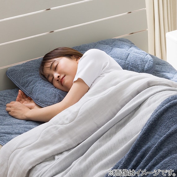 ピローパッド(コットンパイルビンテージNV S2415) 4枚目画像