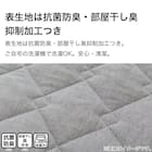 ピローパッド(コットンウォッシュ DGY S2417) 5枚目画像