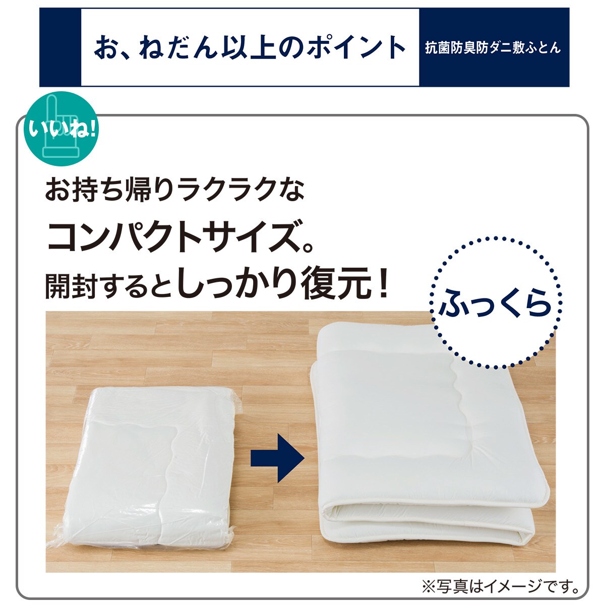 抗菌防臭 防ダニ敷ふとん通販 ニトリネット 公式 家具 インテリア通販 抗菌防臭 防ダニ敷ふとん通販 ニトリネット 公式 家具 インテリア通販