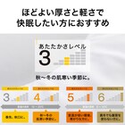 抗菌防臭 掛け布団2 シングル 8枚目画像