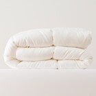 ホテルスタイル掛け布団 クイーン(Nホテル2 K2321 Q) 2枚目画像