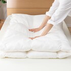 ホテルスタイル掛け布団 クイーン(Nホテル2 K2321 Q) 3枚目画像