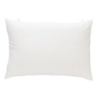 カバーなし抗菌寝具3点セット シングル(S2401 S) 8枚目画像