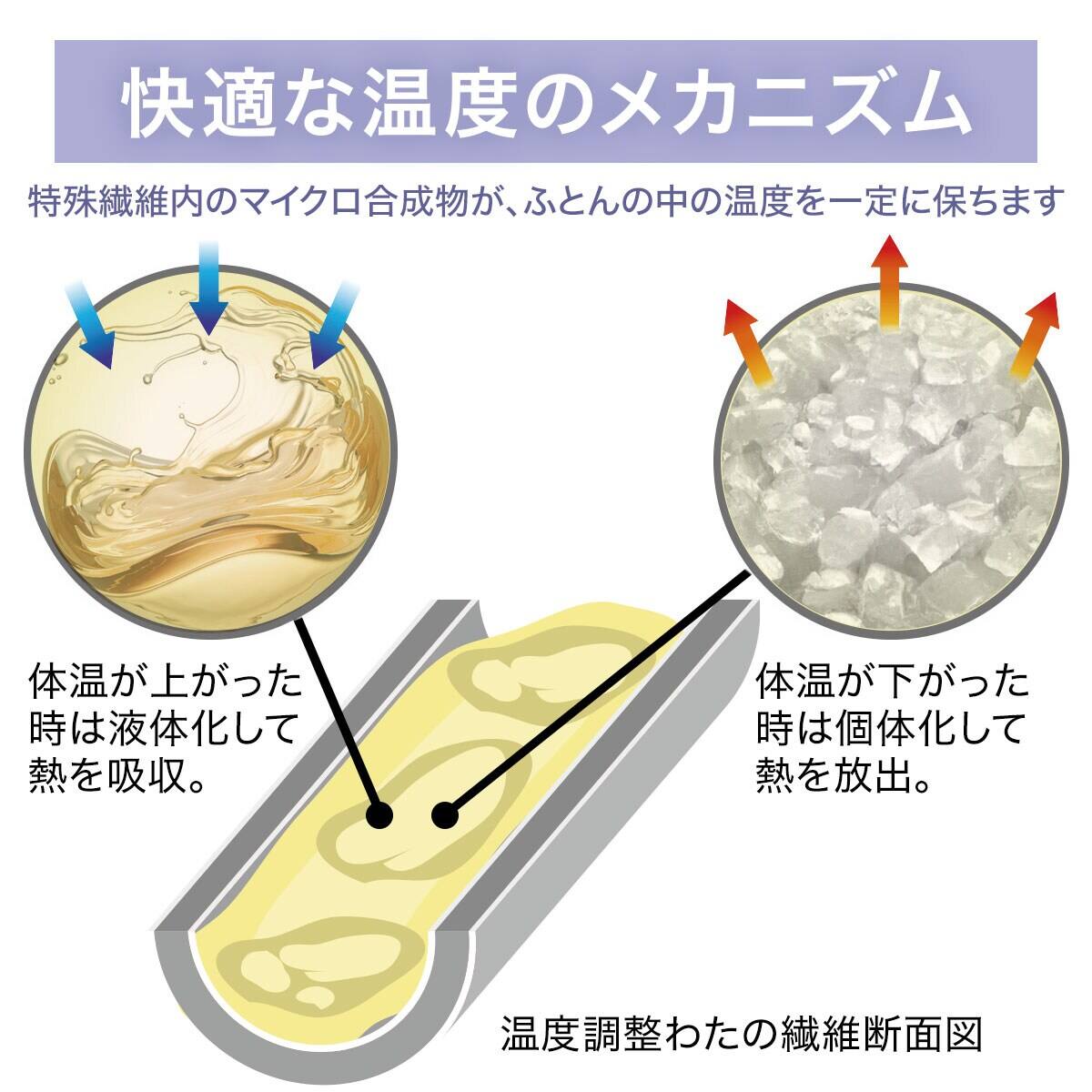 カバー付き 温度調整掛け布団 布団セット 6点 (S2305 セミダブル