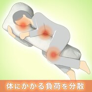 抱き枕 おしゃれの検索結果 ニトリネット 公式 家具 インテリア通販