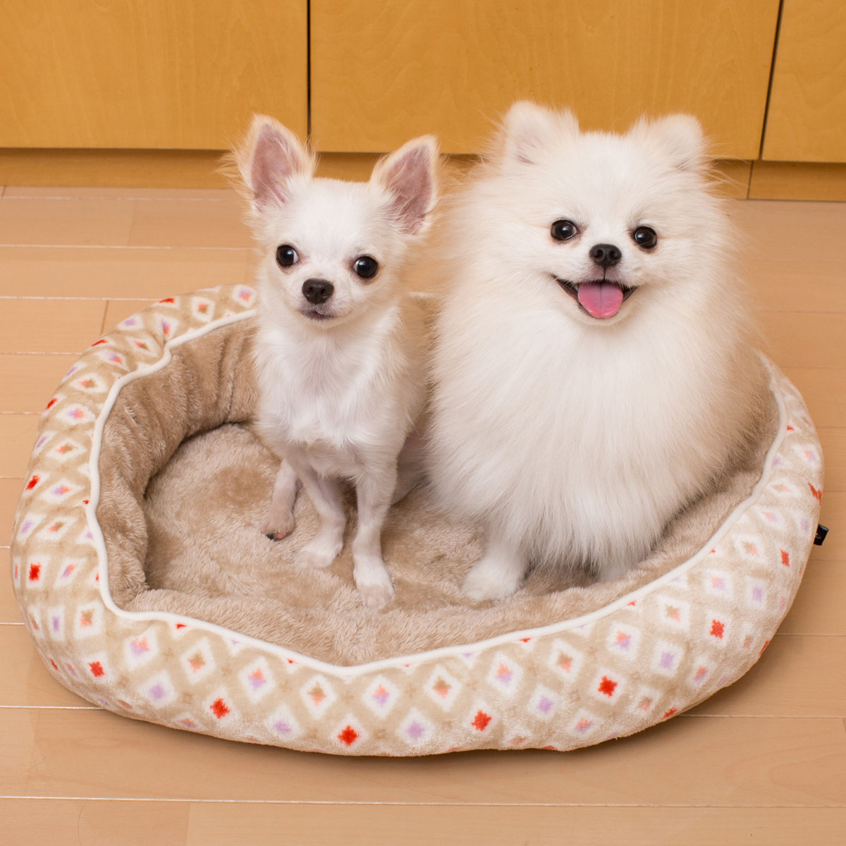 犬 猫用ペットベッド Nウォーム Q O ジオ 通販 ニトリネット 公式 家具 インテリア通販 犬 猫用ペットベッド Nウォーム Q O ジオ 通販 ニトリネット 公式 家具 インテリア通販