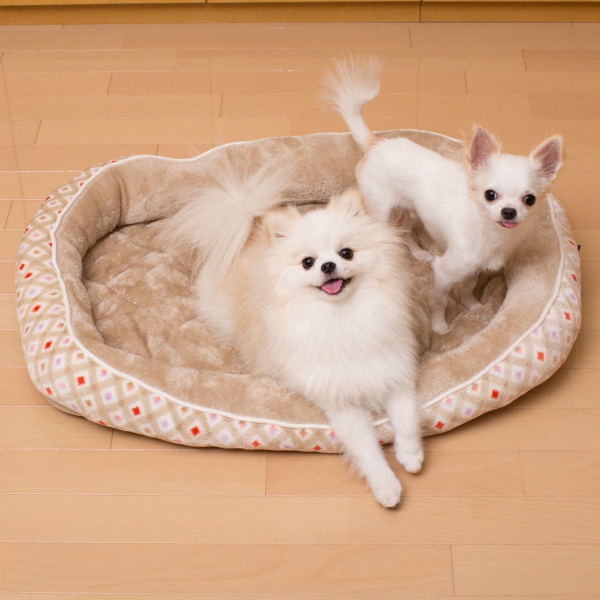 犬 猫用ペットベッド Nウォーム Q O ジオシカク 通販 ニトリネット 公式 家具 インテリア通販