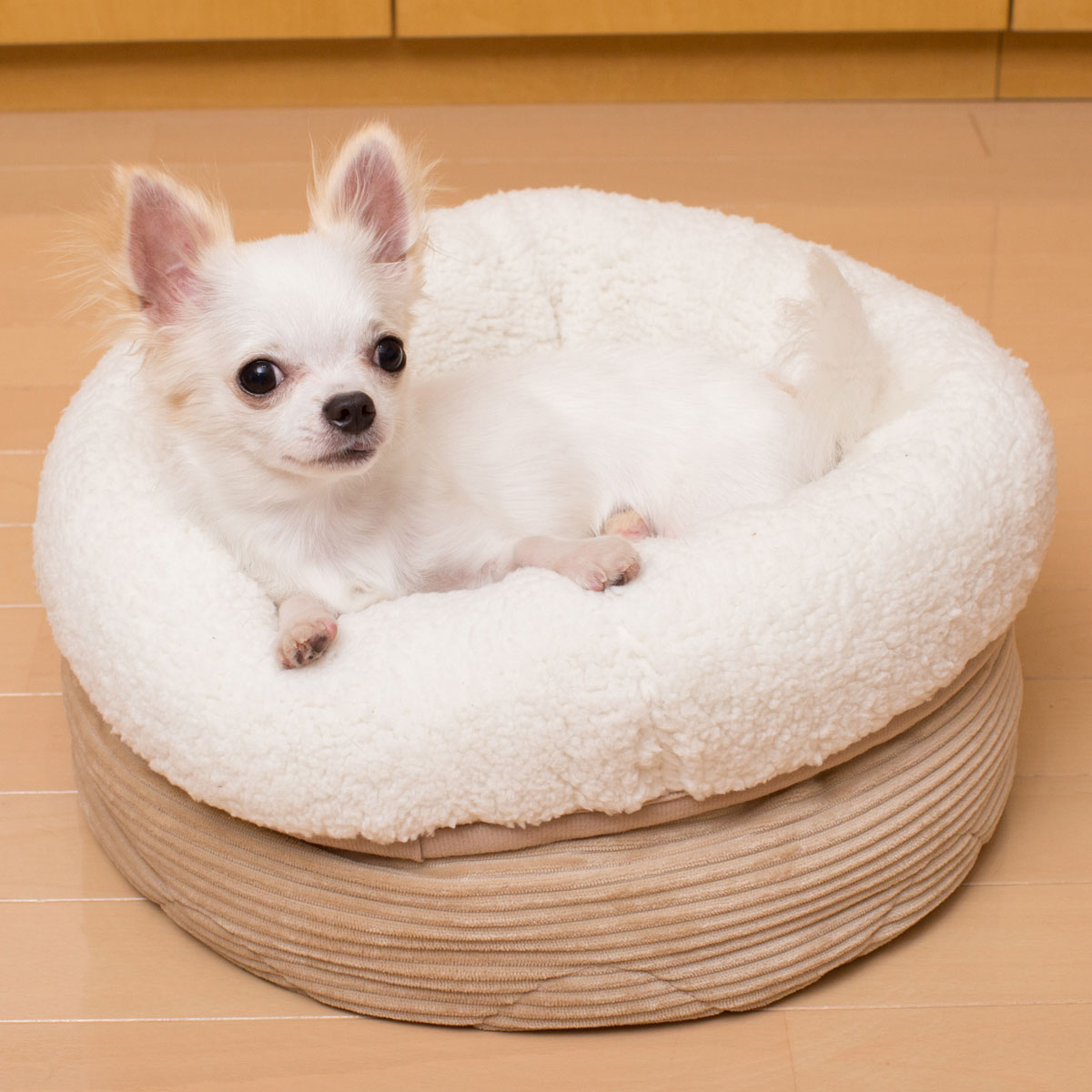 犬 猫用ペットベッド Nウォーム Q O コーディ 通販 ニトリネット 公式 家具 インテリア通販