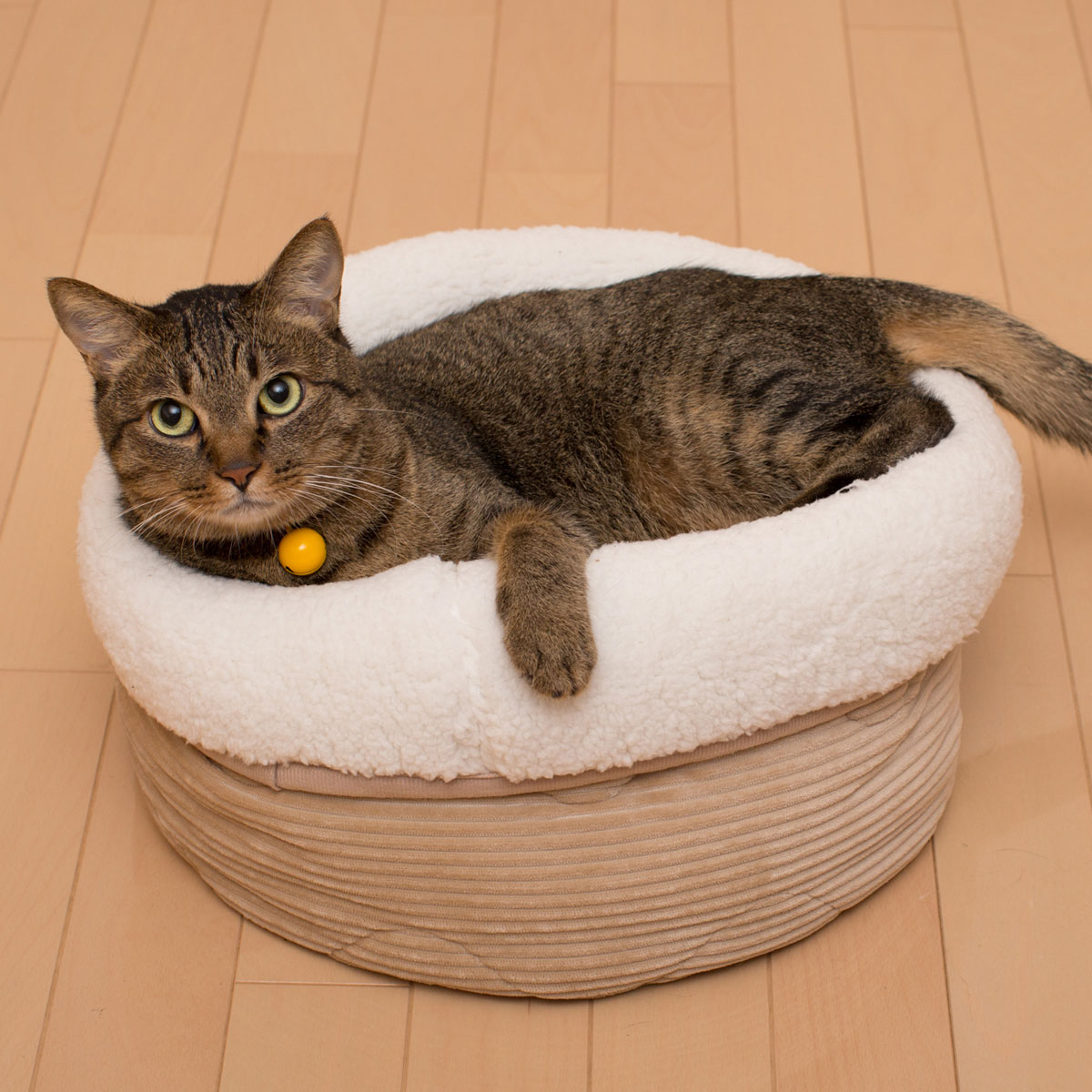 犬 猫用ペットベッド Nウォーム Q O コーディ 通販 ニトリネット 公式 家具 インテリア通販