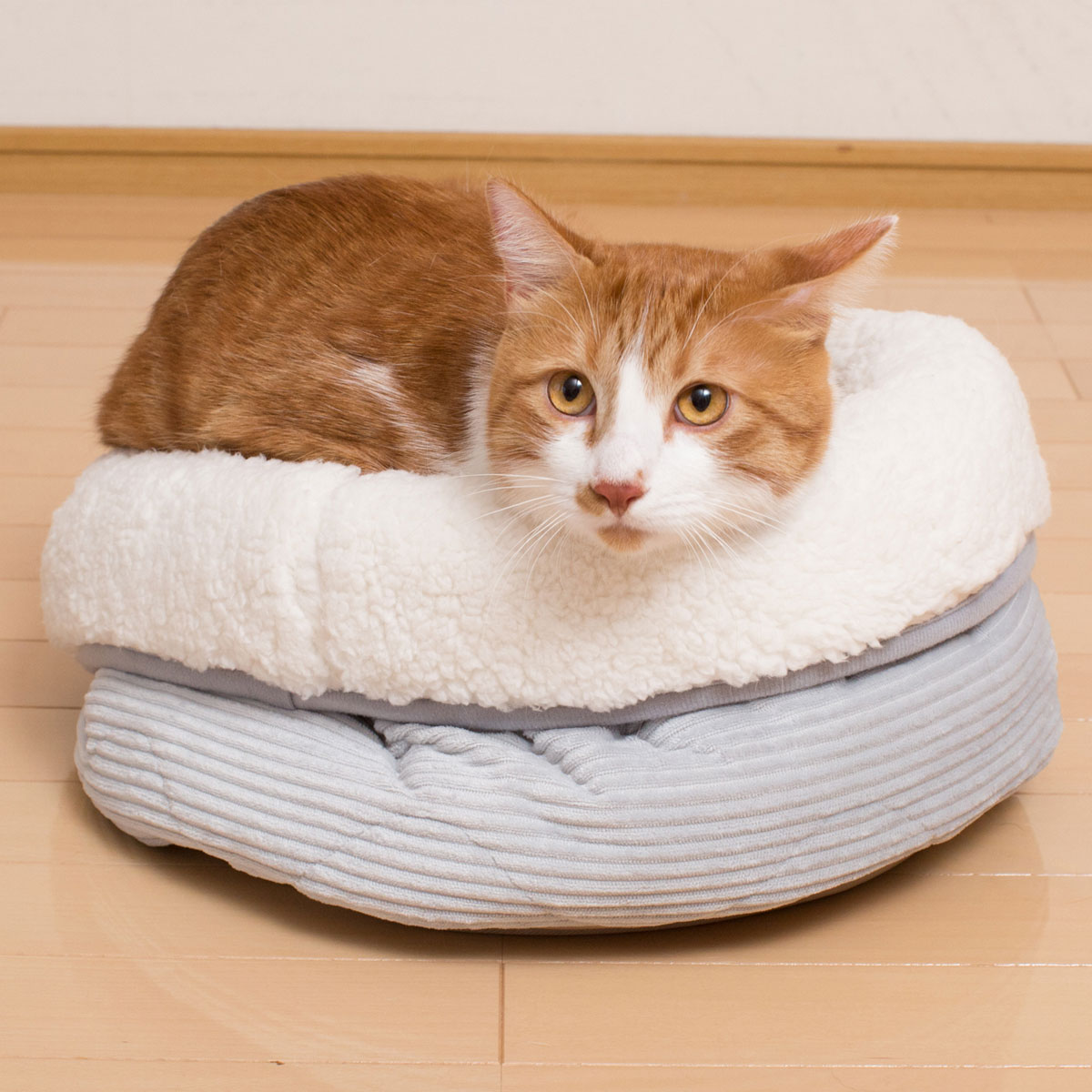 出会い 妥協 側 ニトリ の 猫 ベッド H3n8 Org 出会い 妥協 側 ニトリ の 猫 ベッド H3n8 Org