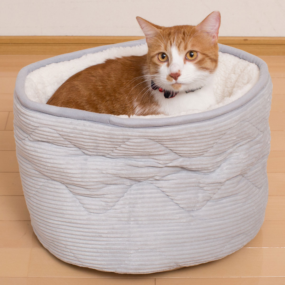犬 猫用ペットベッド Nウォーム Q O コーディ 通販 ニトリネット 公式 家具 インテリア通販