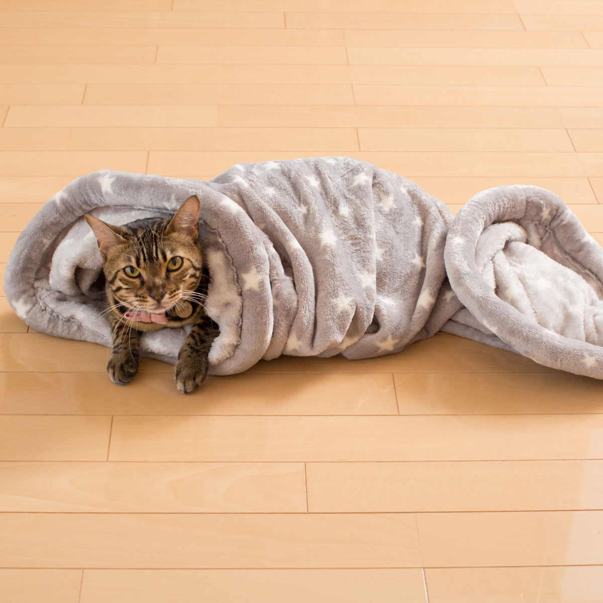 犬 猫用ペットトンネル Nウォーム Q O スタ 通販 ニトリネット 公式 家具 インテリア通販