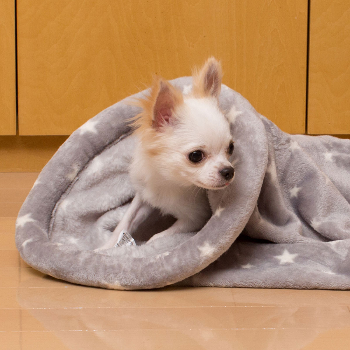 犬 猫用ペットトンネル Nウォーム Q O スタ 通販 ニトリネット 公式 家具 インテリア通販