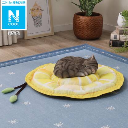 犬 猫用ペットベッド Nクール O I レモン 通販 ニトリネット 公式 家具 インテリア通販