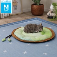 ペットベッド通販 ニトリネット 公式 家具 インテリア通販