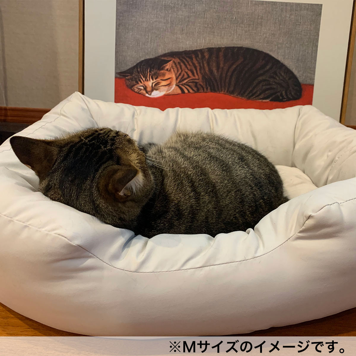 ペットベッド l Nホテル シカク Gy L 通販 ニトリネット 公式 家具 インテリア通販