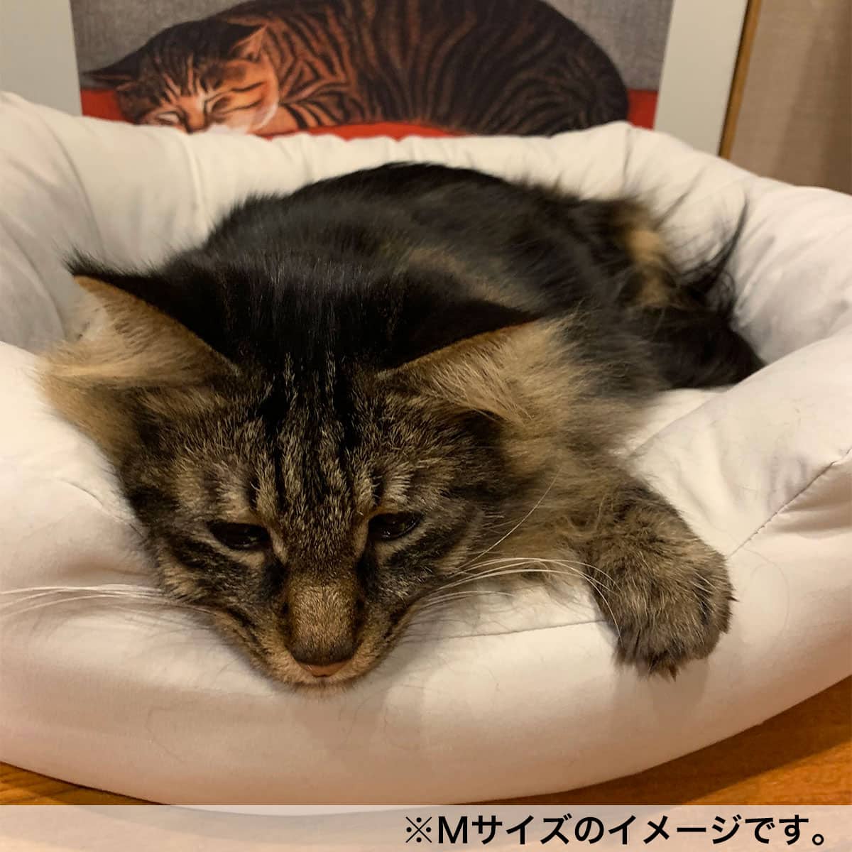 ペットベッド l Nホテル シカク Gy L 通販 ニトリネット 公式 家具 インテリア通販 ペットベッド l Nホテル シカク Gy L 通販 ニトリネット 公式 家具 インテリア通販